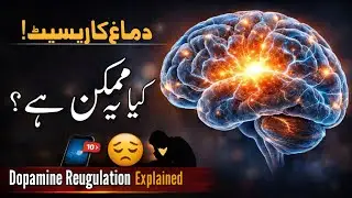 Is a Brain Reset Possible? | Here’s How Dopamine Regulation Really Works | Urdu Hindi