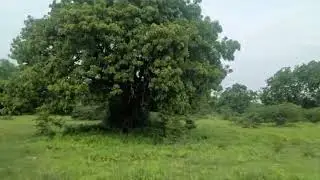 Prime Land for Sale | Oragadam &ndash; Near Vadagupattu Village | Near Chennai