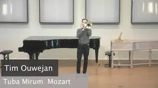 Tim Ouwejan