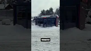 51 день. Влезаю в новый блудняк #долги #бизнес #предприниматель #банкротство #банкрот #бизнесснуля