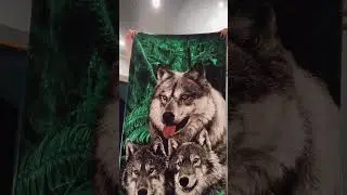 🖤визуальное удовольствие в Геле для душа: #WW111254