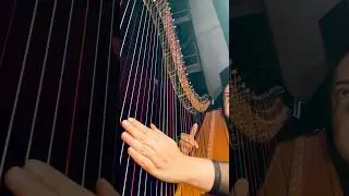 The most famous harp cadenza, The Waltz of the Flowers, from Tchaikovsky's ballet, The Nutcracker.