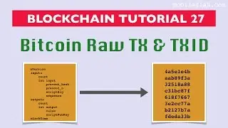 Blockchain tutorial 27: Bitcoin raw transaction and transaction id