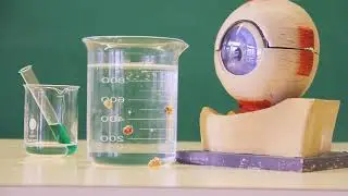 Captain Kaiser - Rocket Science (Music Video)