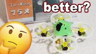 SkyStars TinyFrog 75x Power Whoop Review 🏁