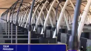 Explotación de ganado porcino de cebo en Erla (Zaragoza)