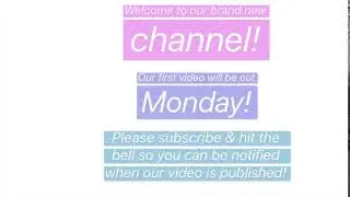 Video Updates!