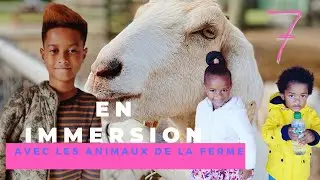 Vlog : Une journ&eacute;e avec les animaux de la ferme (challenge & raclette party)