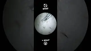 Good or Gross? satisfying ASMR