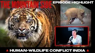 How India is Solving Human-Wildlife Conflict
