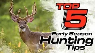 Top 5 Early Season Deer Hunting Tips-TideWe