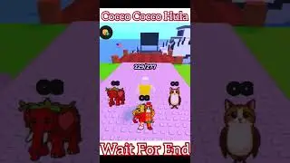 Coco Cocco Hula || Find The Brainrot ||