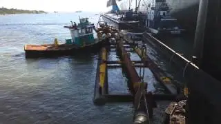 Drageros de cerralvo 2