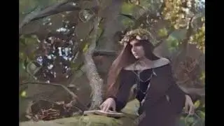 The Basics of HedgeWitchery
