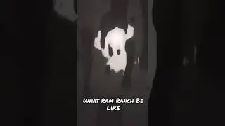 What Ram Ranch Be Like