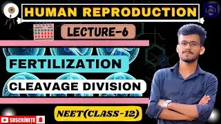 Human Reproduction | Class-12 | Fertilization | Cleavage Division | #neet #youtube #viral