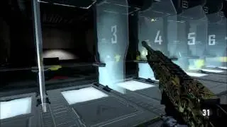 Royalty Camo on all Sub Machine Guns AW