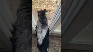 Вчера Смипс наслаждался солнечным днем ​​по полной.