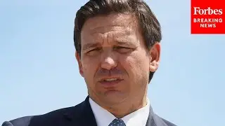 Dem Witness Pressed On Tweet Accusing DeSantis Of 'Anti-Semitic White Supremacist Rhetoric'