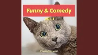 Amusing Moments