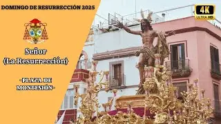 [4K]🟠Domingo de Resurrección 25 I Señor (La Resurrección) I Plaza de Montesión