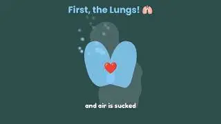 Lungs, Digestion, & Heart Rate Experiment! | Cambridge Science Grade 3 (p. 95-100) | Dr. Organa