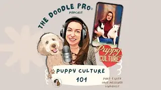 Puppy Culture 101: How to Raise a Confident, Resilient Doodle Puppy with  Jane Messineo Lindquist