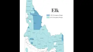 Information System: GIS Mapping