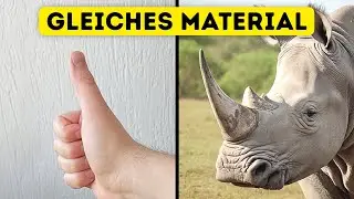 &Uuml;ber 90 Geheimnisse des K&ouml;rpers, die Ihre Neugier wecken