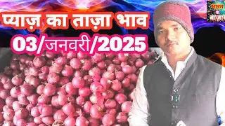 03/जनवरी/2025 🧅प्याज का भाव साहिबाबाद मंडी |onion rates #mandirates #pyajkabhav #onion #mandirates