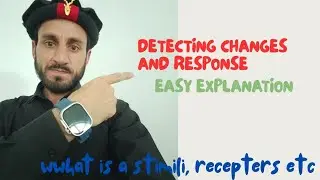 Detecting Changes and Responding to Change | Grade 8 Science Explained Simply