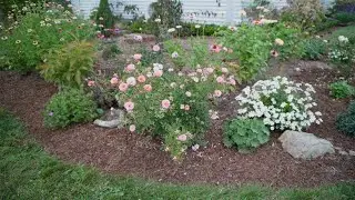 Making Beautiful Progress: Tour of the Garden Beds Around My House