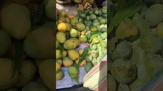 Himsagar mango 🥭🥭🥭@50rs west bangal #murshidabad