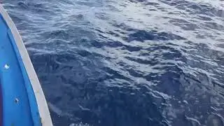First time scuba @ Ban&rsquo;s dive koh Tao Thailand