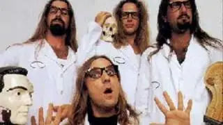 Scatterbrain- I'm With Stupid