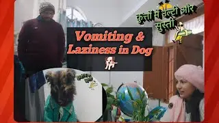 कुत्तों में उल्टी और सुस्ती#Vomiting & Laziness in Dog #@mylifesvlogsdrpriyanka #yt