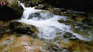 Fall River - Tranquil Water Rhythms and Soft Lapping Sounds