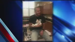 Stolen kitten rescued by Northampton Police
