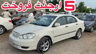 Toyota Corolla Xli model 2005 sale 