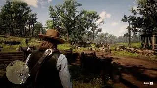Red Dead Redemption 2 Shadow Flickering Fix (Nov 2020 update)