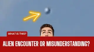 Alien Encounter or Misunderstanding? Man and Dog Stunned by Orb in Field