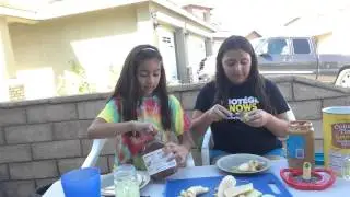 Fun Picnic Ideas ( Fail )
