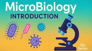 MicroBiology l Lecture 1 l Introduction اولى طب بشري 