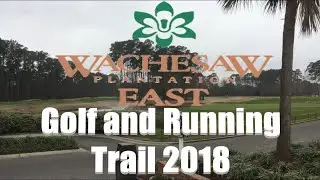 Wachesaw East Plantation Running Trail | Lost Video | Murrells Inlet - Myrtle Beach, SC | 4K