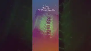 Judee Sill - Till Dreams come True (With lyrics)