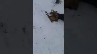 Fail compilation 2017 jan.dezider