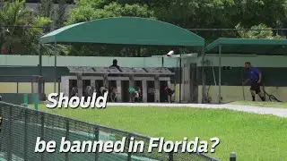 Video: Should greyhound racing be banned?