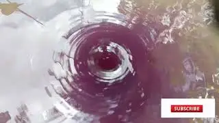 Whirlpool RAINBOW HIGH_Experiment Whirlpool_Whirlpool colors #whirlpool #experiment #rainbow