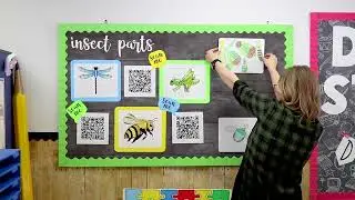 Fadeless Bulletin Board Paper Design Ideas