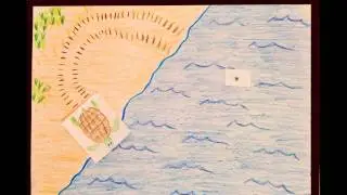 The Sea Turtle Project